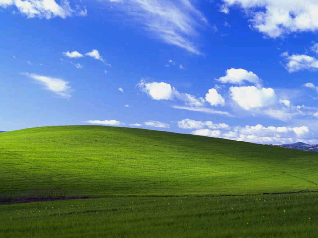 bliss